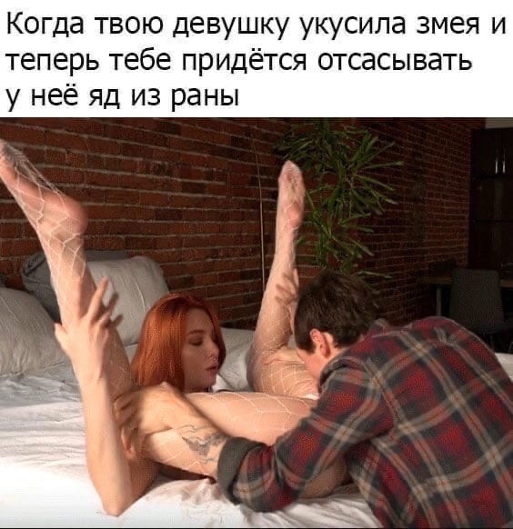 1724026-1605285803_14922992.jpg