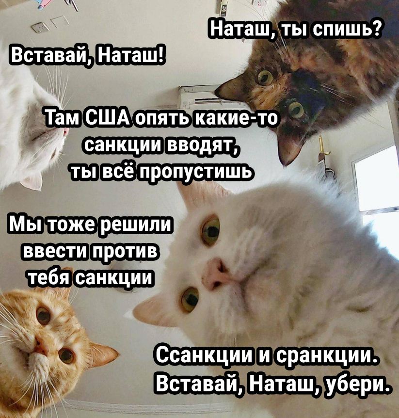 Смешные картинки с надписями про работу для поднятия настроения
