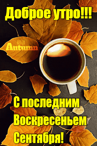 Осеннее Утро В Деревне Красивые Картинки