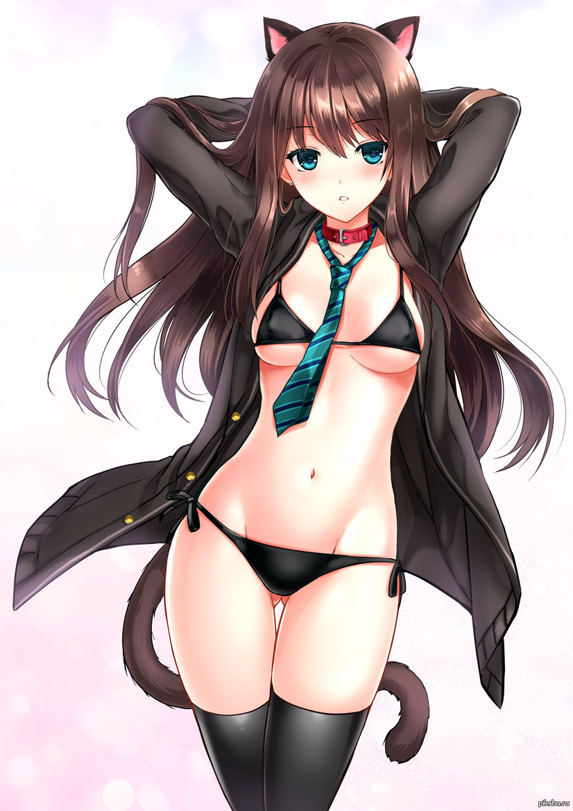 Mama Tomo Harem